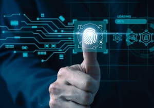 Sistema de seguridad e identidad